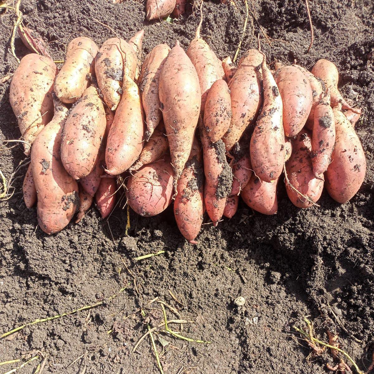 whatsapp image 2026 02 26 at 21.10.23