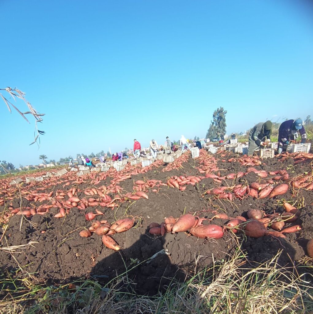 whatsapp image 2026 02 26 at 21.10.53